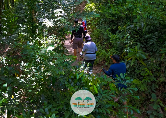 image showing koh samui tours zip line adventure
