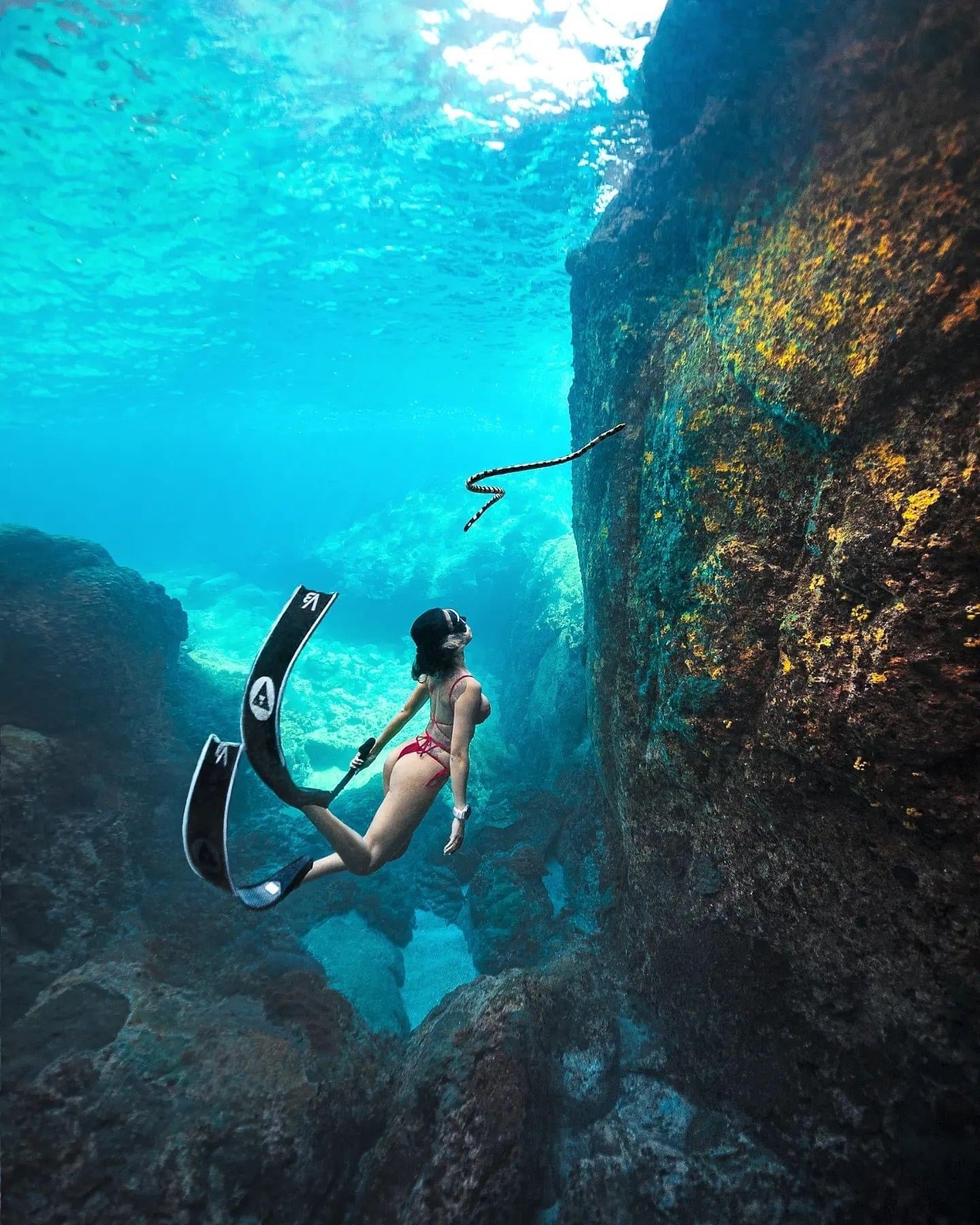Koh Tao Scuba Diving Boat Tours