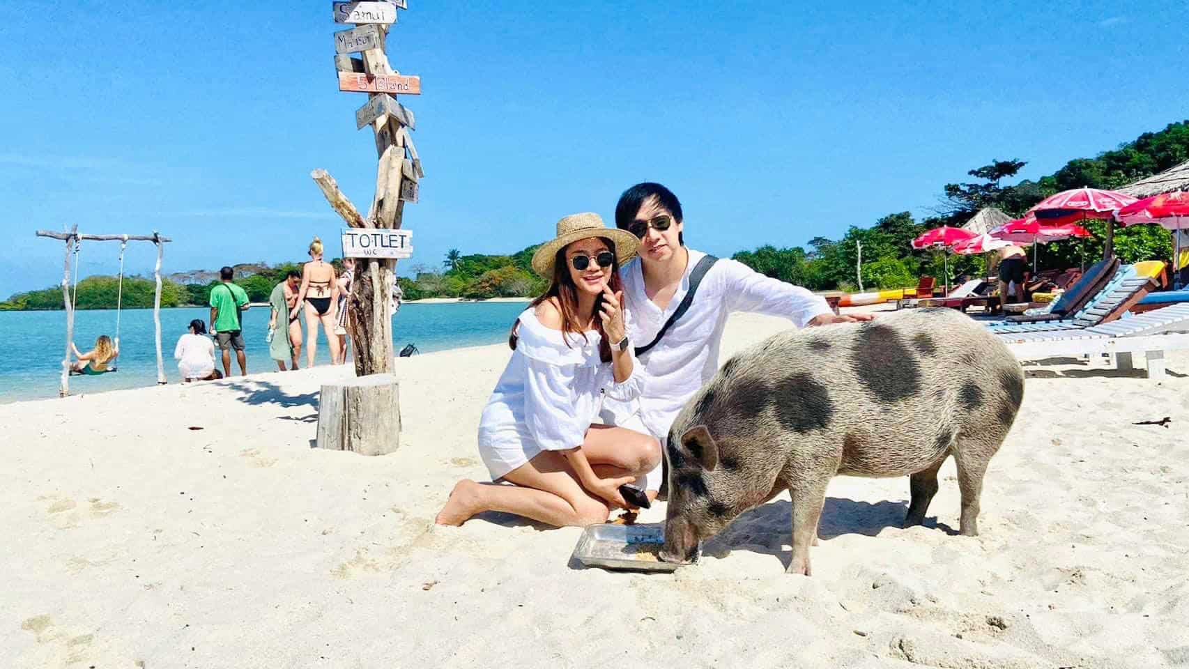 Island Hopper Tours