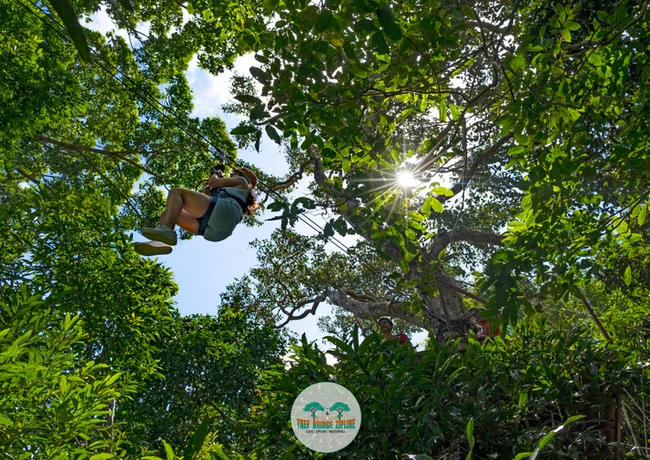 image showing jungle canopy adventures samui