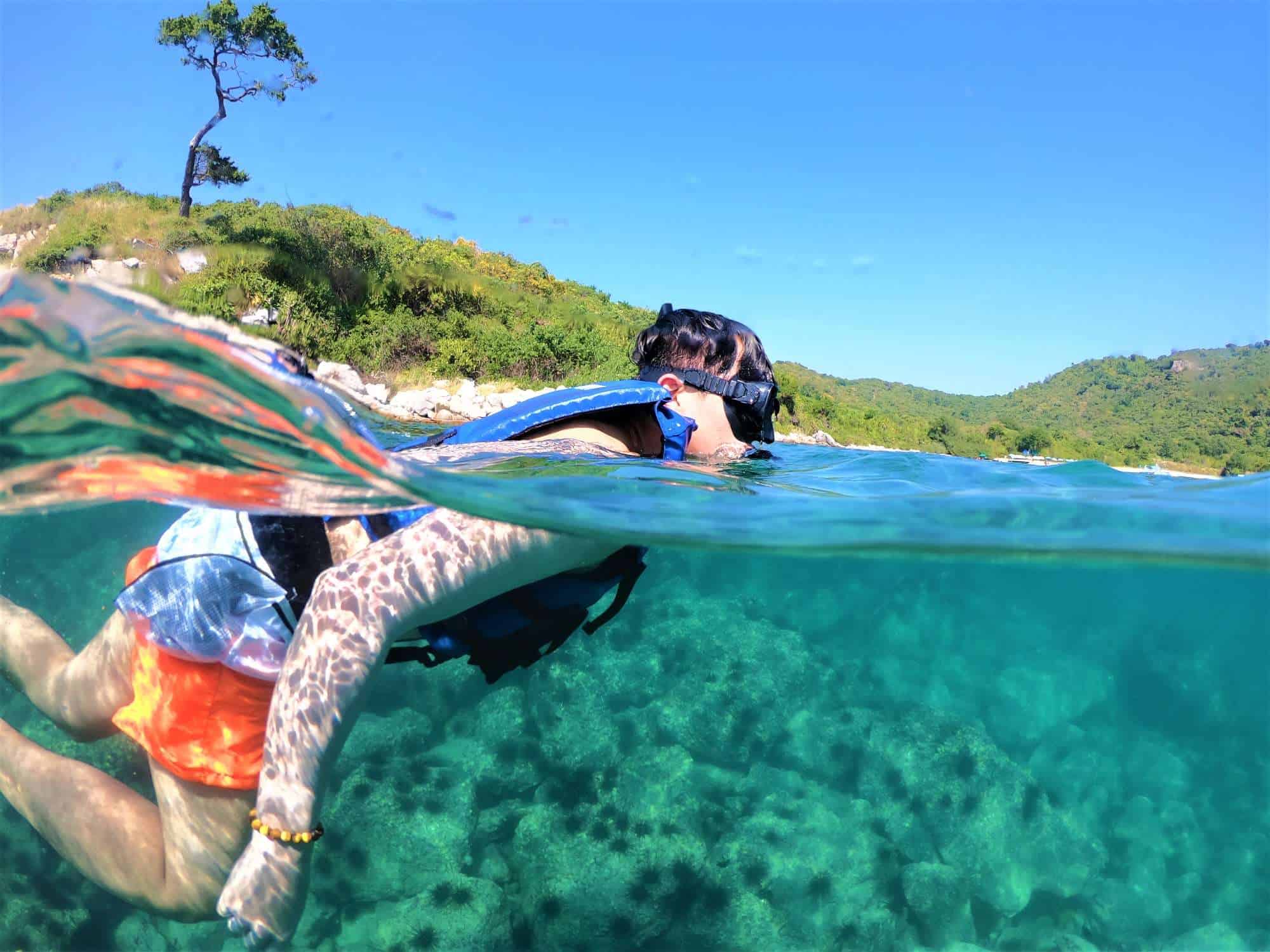 Scuba Diving and Snorkeling