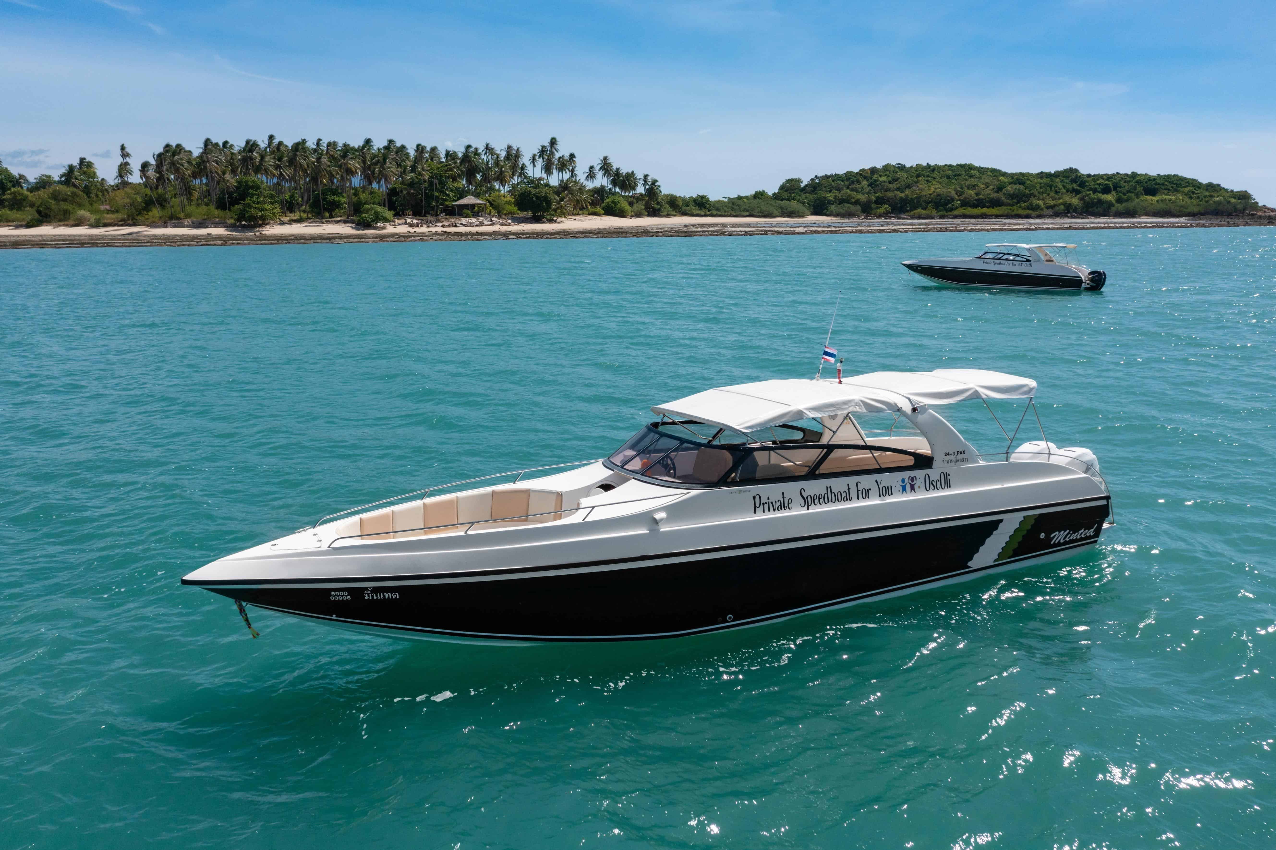 Private Luxury Speedboat 700hp