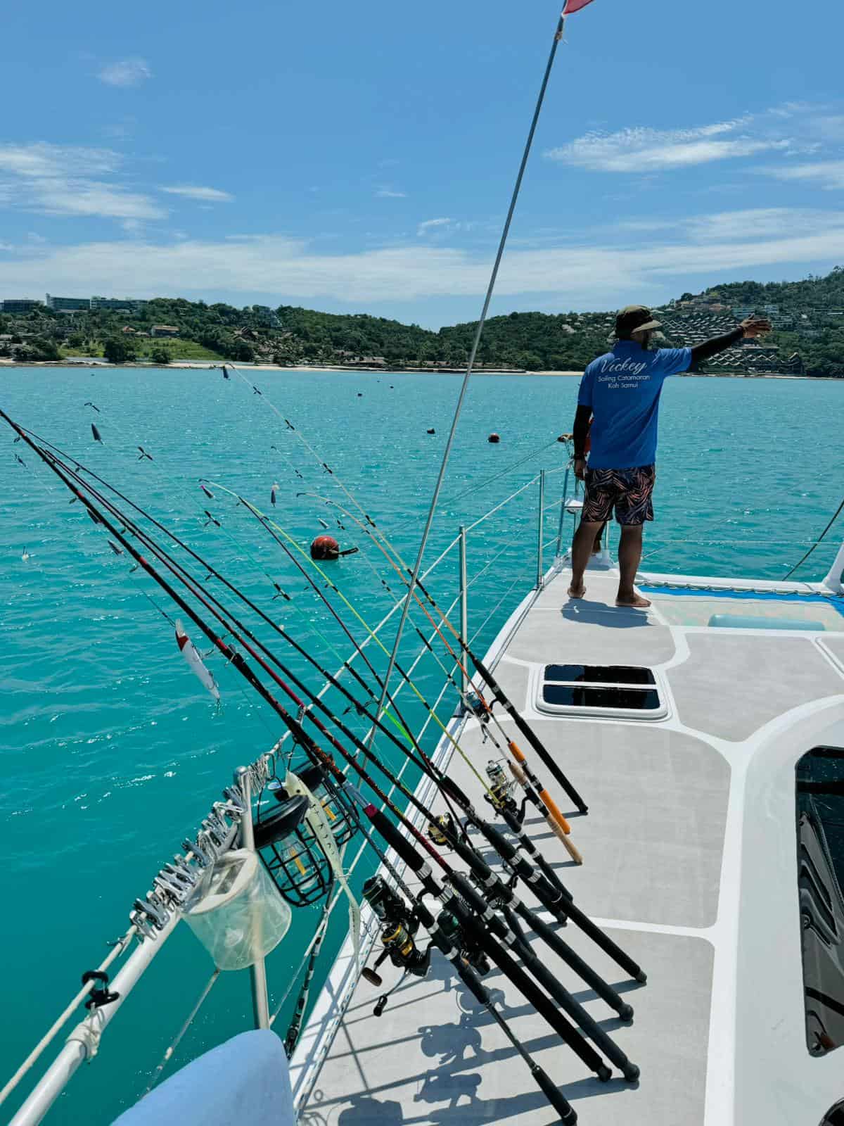 Sailing Catamaran 36