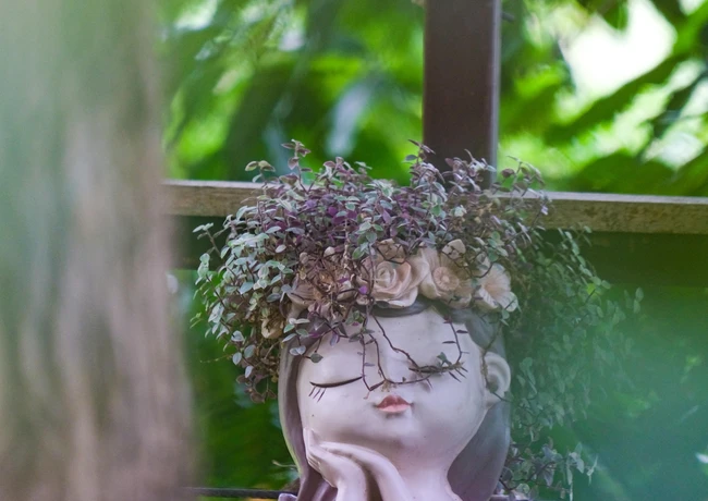 image showing statue at tree bridge cafe koh samui