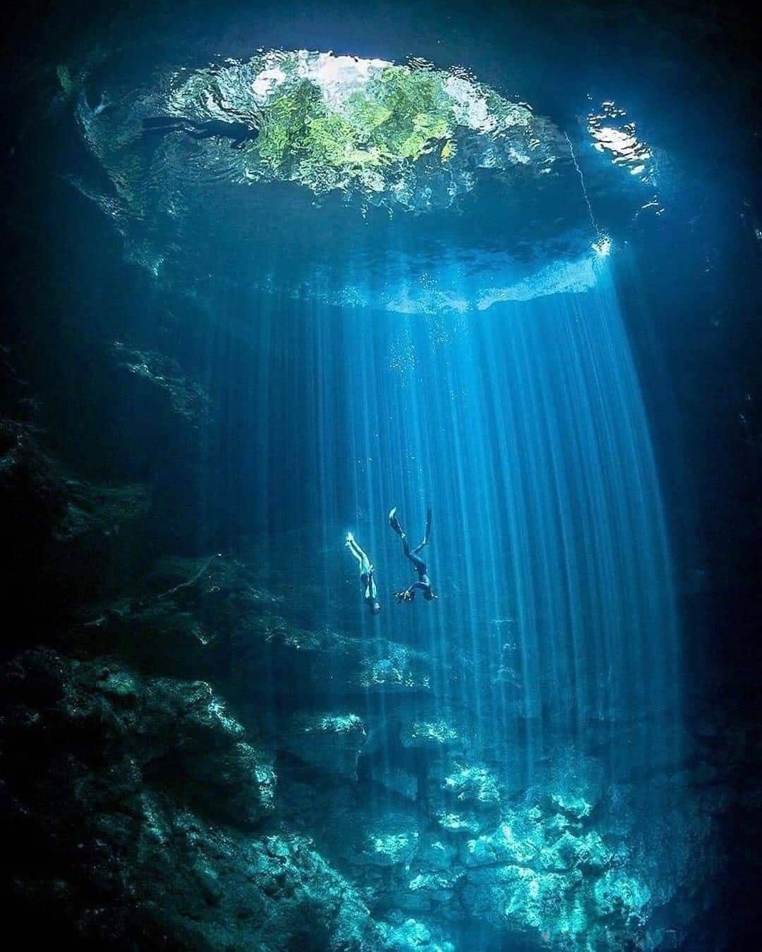 Koh Tao Scuba Diving Boat Tours