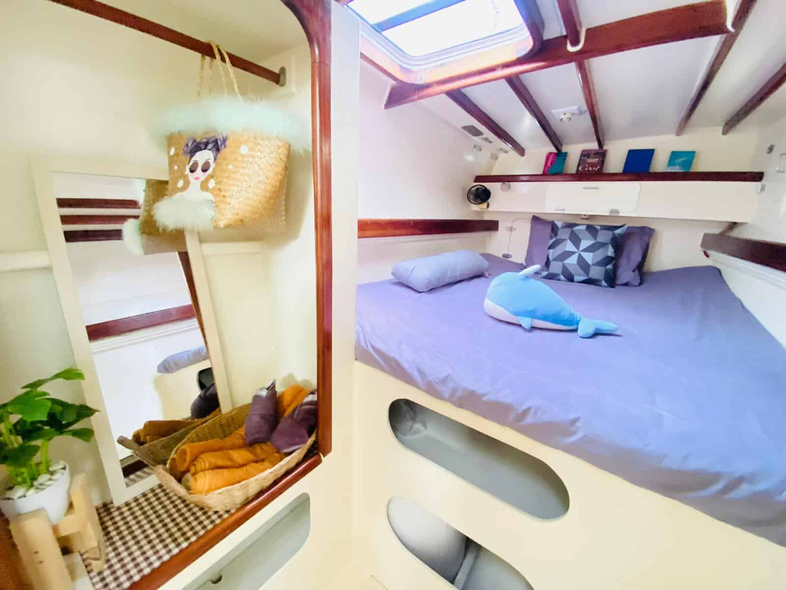 Sailing Catamaran 36