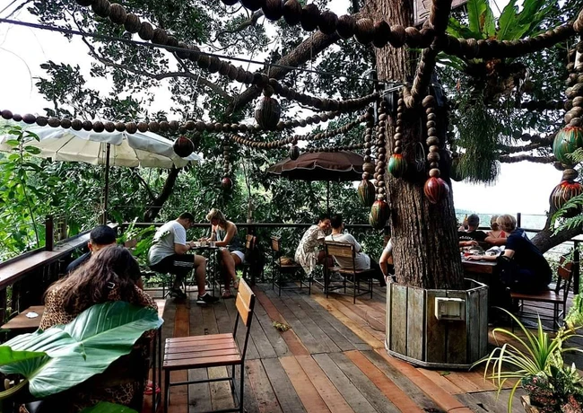 image showing tree bridge cafe samui